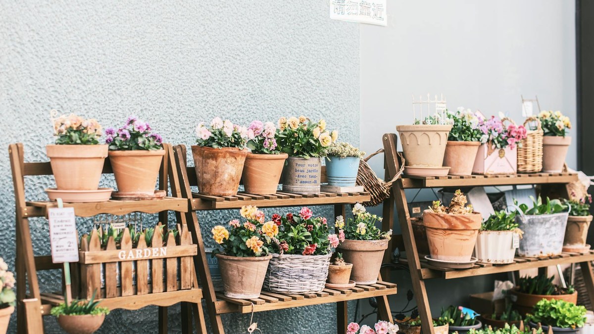 korean balcony garden setup with vertical planters and shelves