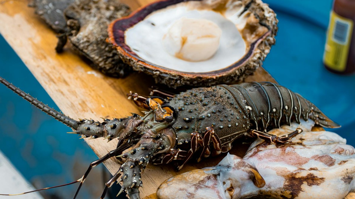 Fresh seafood platter with various raw fish and shellfish on a wooden table