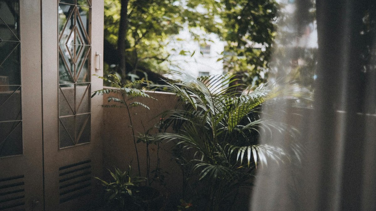 small green plants on a sunny apartment balcony